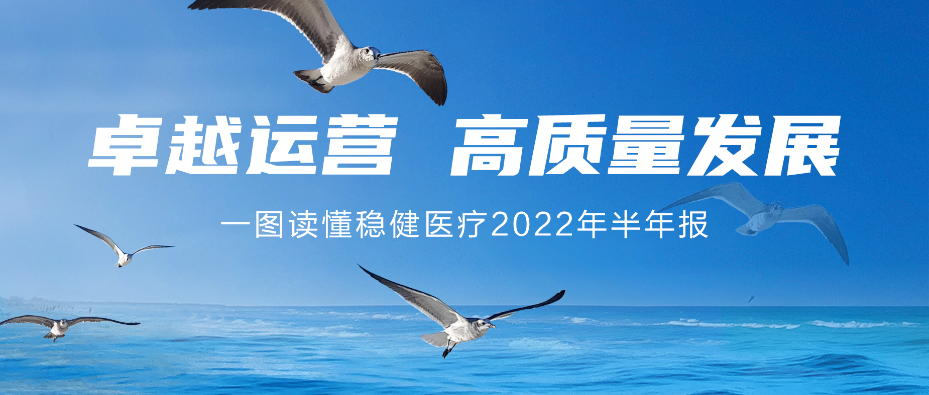 一图读懂恒峰g222022年半年报