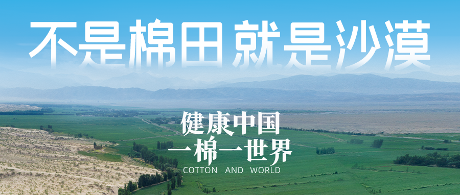 链接天下，，，引领康健生涯，，，恒峰g22集团受邀亮相首届链博会