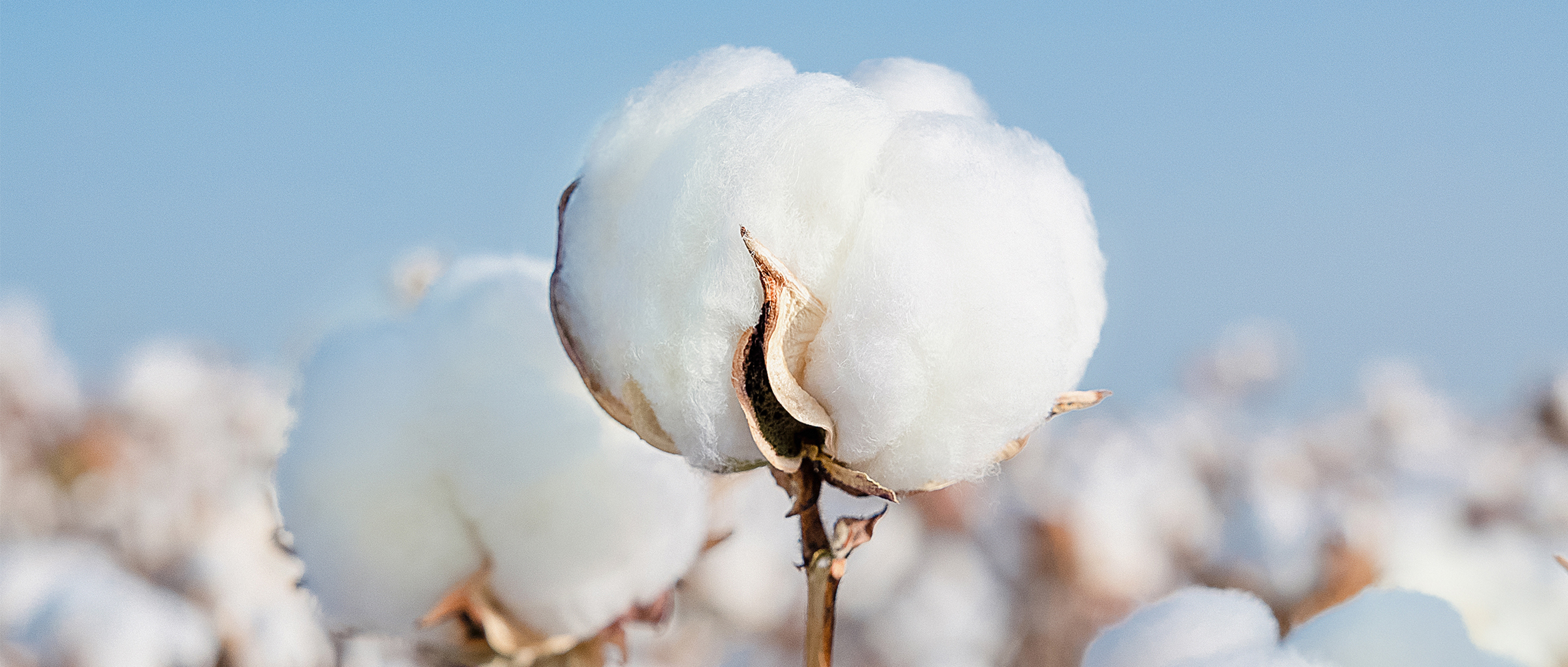 一图读懂恒峰g22集团2024年度ESG报告